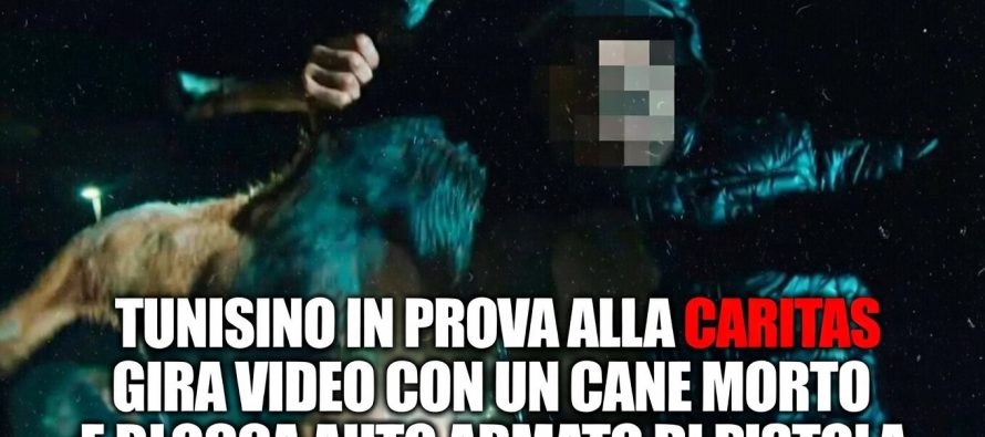 Il capobanda dei maranza violenti era in prova alla Caritas e girava con un cane morto
