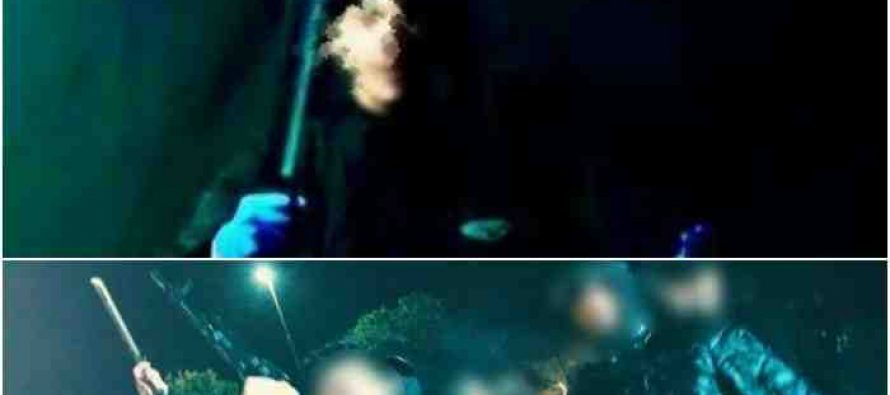 Rapine, pestaggi e sfide all’Italia: ecco chi i boss armati di machete