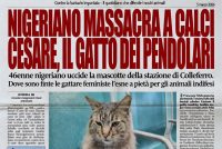 Nigeriano uccide a calci Cesare, il gatto dei pendolari