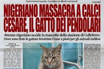Nigeriano uccide a calci Cesare, il gatto dei pendolari