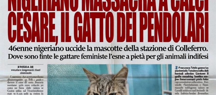 Nigeriano uccide a calci Cesare, il gatto dei pendolari
