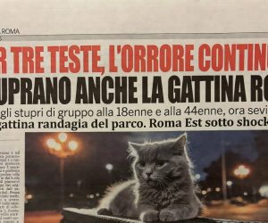 Gattina stuprata e fatta a pezzi nel parco degli africani a Roma