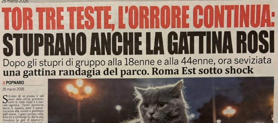 Gattina stuprata e fatta a pezzi nel parco degli africani a Roma