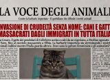 Cani e gatti uccisi da immigrati in tutta Italia: le loro storie
