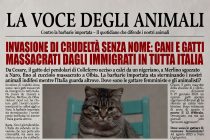 Cani e gatti uccisi da immigrati in tutta Italia: le loro storie