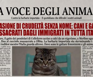 Cani e gatti uccisi da immigrati in tutta Italia: le loro storie
