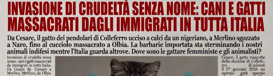Cani e gatti uccisi da immigrati in tutta Italia: le loro storie