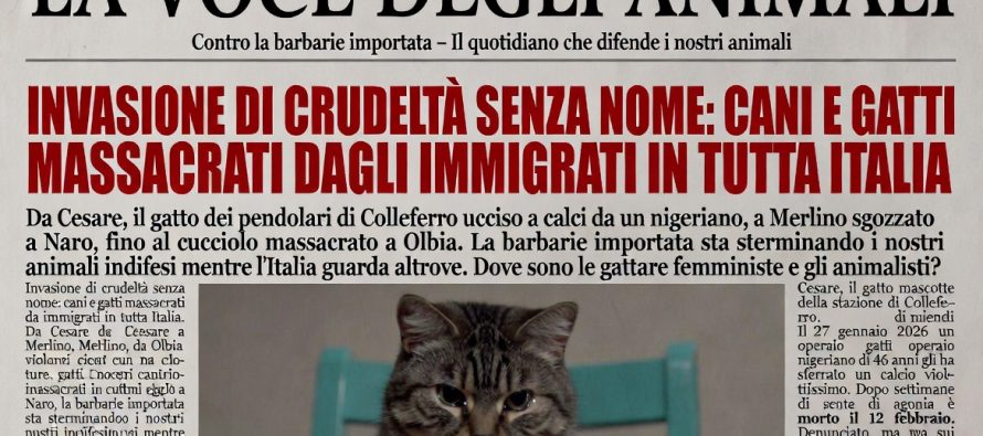 Cani e gatti uccisi da immigrati in tutta Italia: le loro storie