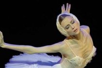 Non può ballare in Italia perché è russa: ballerina del Bolshoi respinta