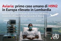 Aviaria, Africano infetto porta in Lombardia primo caso umano di AH9N2 rilevato in Europa