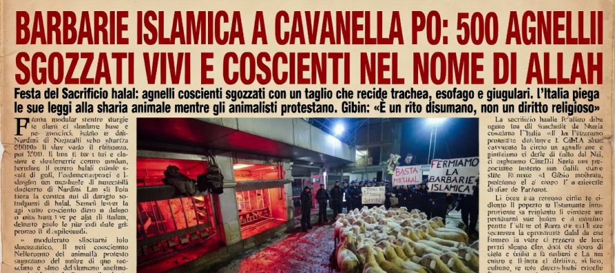 Islamici sgozzano 500 agnelli sul Po: “è la nostra tradizione”