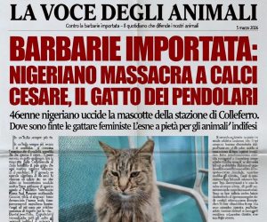 Nigeriano uccide a calci Cesare, il gatto dei pendolari